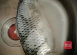 酸菜鲤鱼的做法图解2