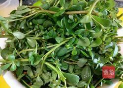 凉拌野菜马齿苋的做法图解1