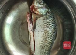 鲫鱼萝卜豆腐汤的做法图解1