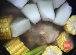 筒骨玉米冬瓜汤的做法图解5