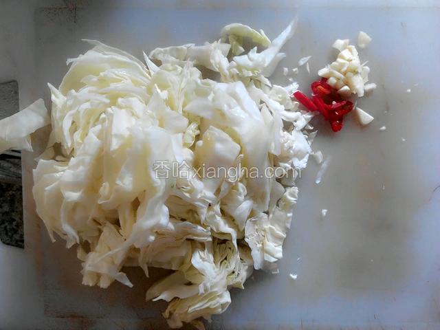 将圆白菜切丝，辣椒蒜切片，胡萝卜切丝