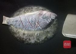香煎罗非鱼的做法图解4