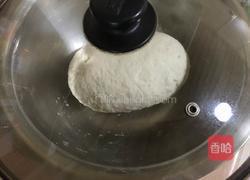 西葫芦蒸饺的做法图解3