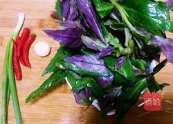 凉拌血皮菜的做法图解1