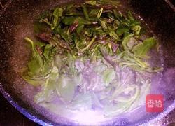 凉拌血皮菜的做法图解3