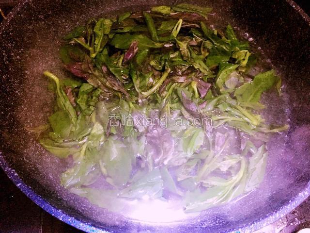 血皮菜放入沸水中烫熟