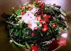 凉拌血皮菜的做法图解5