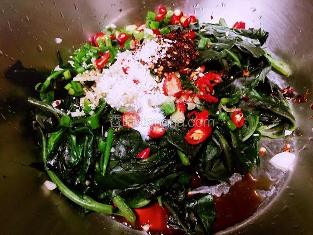 血皮菜倒入拌盆内加入葱蒜辣椒、辣椒油、香油、藤椒、醋、生抽、盐、鸡精、砂糖拌匀