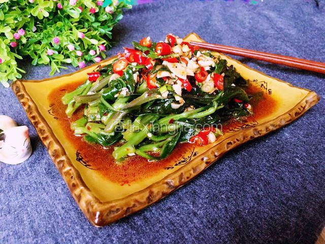 凉拌血皮菜
