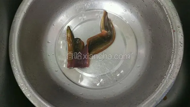鳝鱼洗净