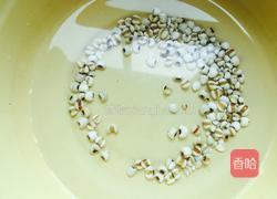 冬瓜薏米煲水鸭的做法图解2