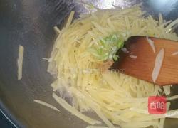 土豆丝炒西红柿的做法图解4