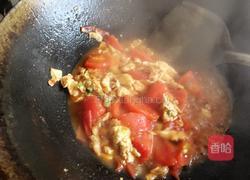 番茄鸡蛋蝴蝶面的做法图解13