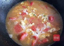 番茄鸡蛋蝴蝶面的做法图解14