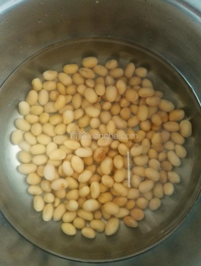 黄豆提前泡发
