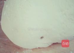 水煎包的做法图解5