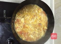 番茄鸡蛋连汤面的做法图解10