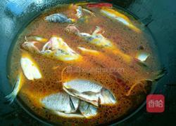 砂锅鱼的做法图解7