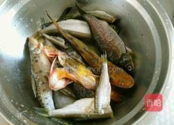 黄豆烧鱼的做法图解1