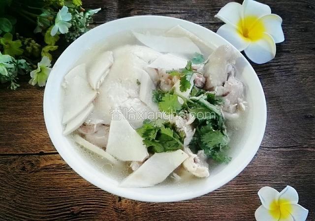 杏鲍菇鸡腿汤