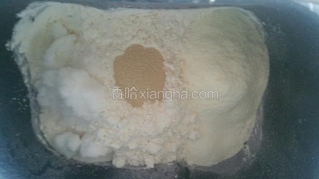 加入面粉，盐，酵母