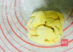 花样南瓜豆沙馒头的做法图解7