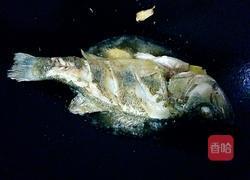 清炖鲈鱼汤的做法图解4