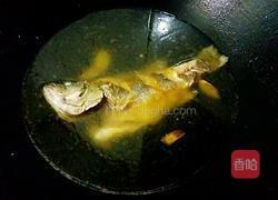 清炖鲈鱼汤的做法图解5