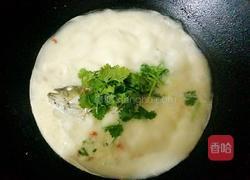清炖鲈鱼汤的做法图解7