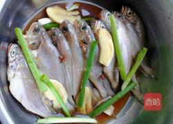 干煎黄花鱼的做法图解1