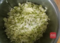 包菜虾皮饼的做法图解3