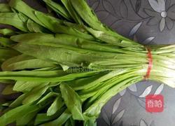 白灼油麦菜的做法图解1