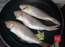 番茄红烧鱼的做法图解4