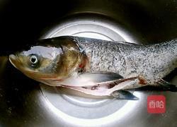 大蒜烧鲢鱼的做法图解1