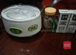 蜂蜜酸奶的做法图解1