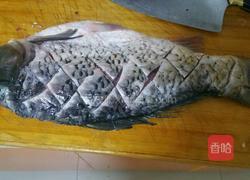 农家垮炖鱼的做法图解2
