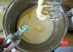 Heavy Cheese Cheesecake Recipe Illustration 10