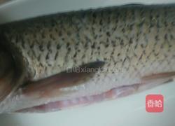 糖醋草鱼的做法图解1