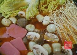 鸡肉火锅的做法图解9