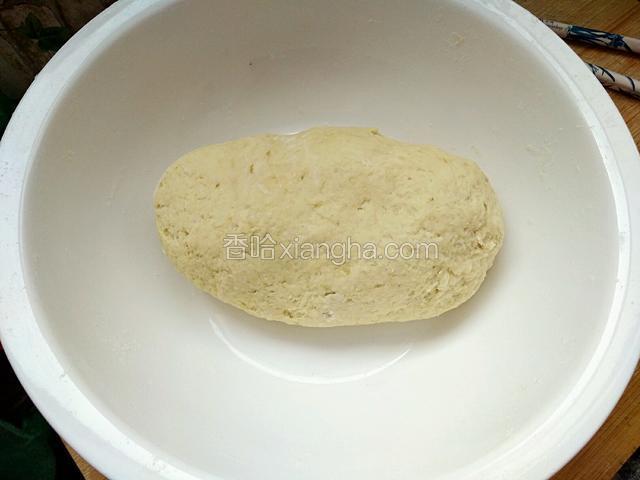 然后再加一点水慢慢的和成面穗揉成面团。放温暖处，醒发半个小时。