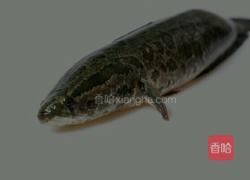 红烧乌鱼的做法图解1