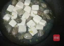 豆腐花蛤汤的做法图解6
