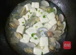 豆腐花蛤汤的做法图解7