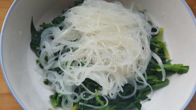 把泡好了的粉丝放入菠菜里面，加入味达美，米醋，白糖，盐，香油搅拌均匀！最后倒入香油！
