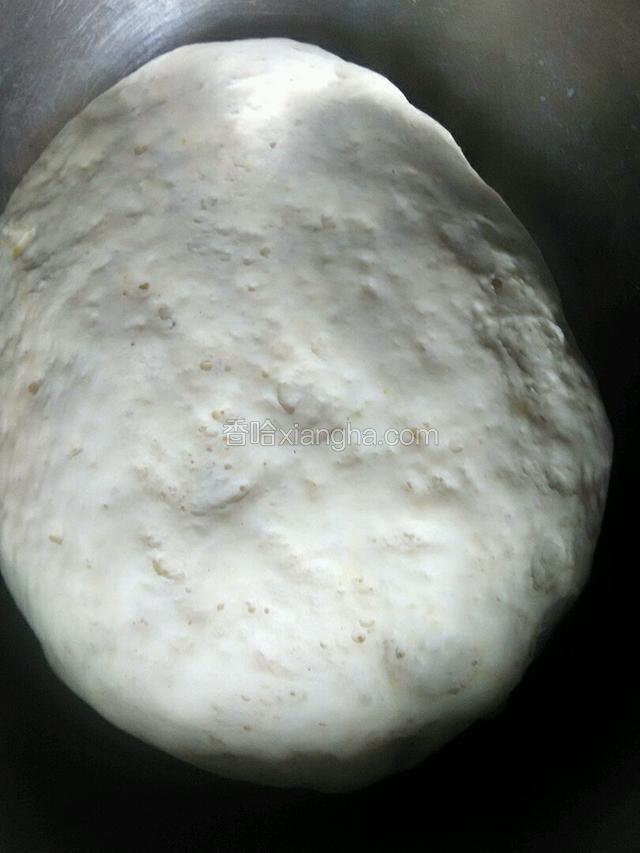 温水化开发酵粉把面粉和成软硬适中的面团。
