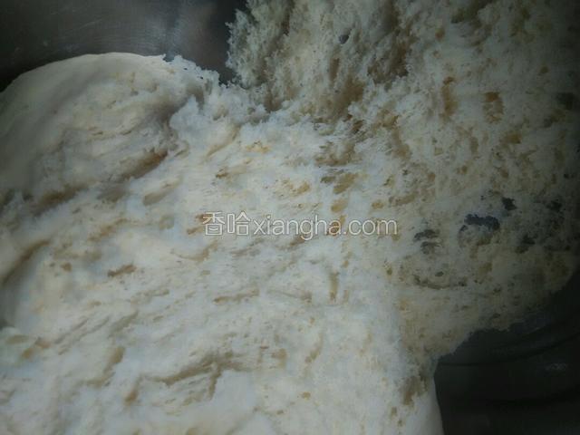 发酵差不多小时变蜂窝状