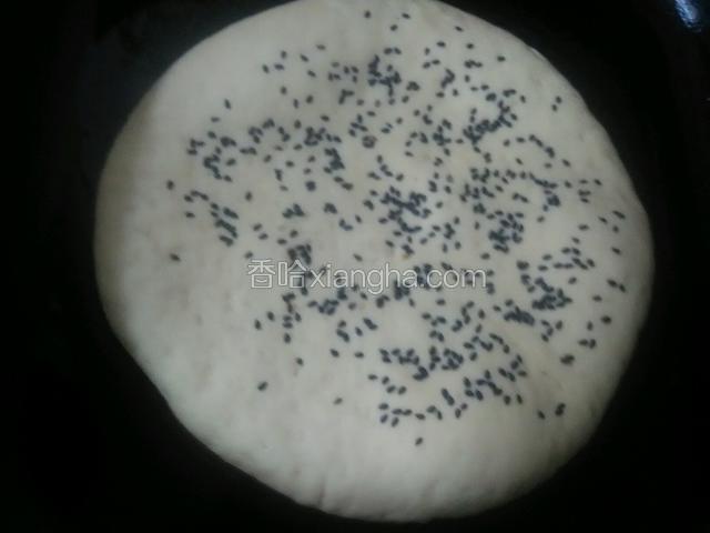 平底锅刷一层油，微热后放入饼。