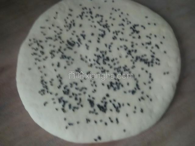 面发好后多揉两次，分一小块擀成薄片撒上黑芝。