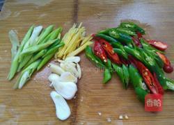 豆豉双椒炒鹅肉的做法图解2