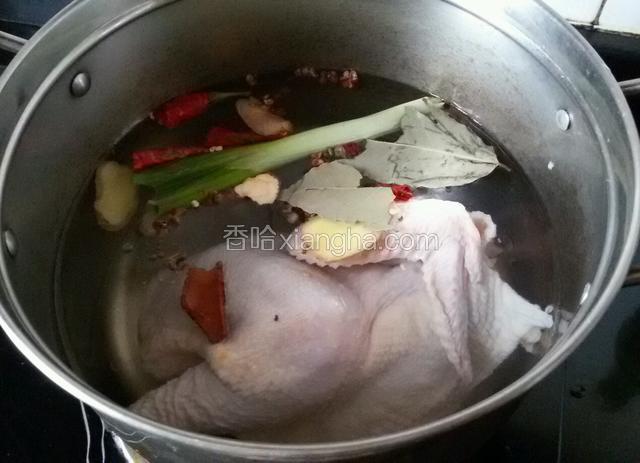 三黄鸡凉水入锅，放入所有佐料。